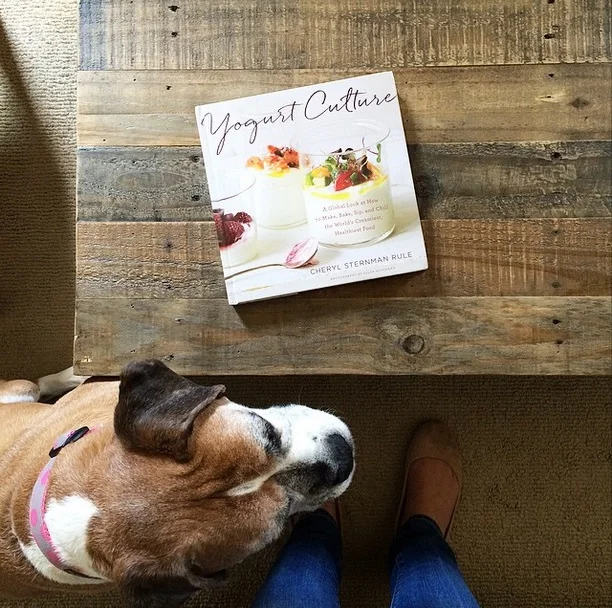 Flat Omelet with Yogurt, Hot Sauce, and Herbs — Edible Perspective